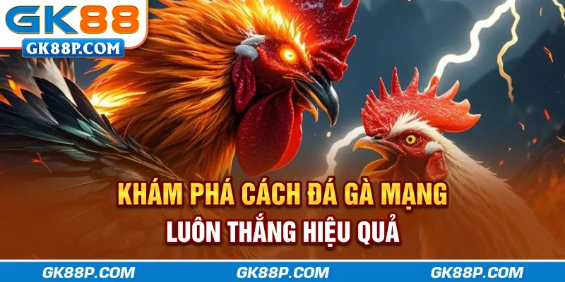 kham-pha-cach-da-ga-mang-luon-thang-hieu-qua-gk88p-com