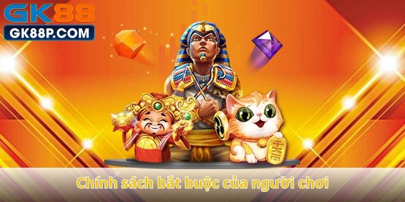 chinh-sach-bat-buoc-cua-nguoi-choi